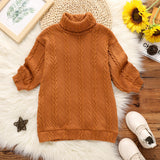 Toddler Girl Turtleneck Cable Knit Long-sleeve Sweater Dress