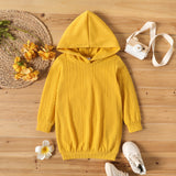 Toddler Girl Cable Knit Textured Hooded Long-sleeve Dress