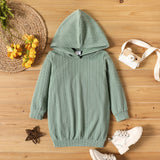 Toddler Girl Cable Knit Textured Hooded Long-sleeve Dress