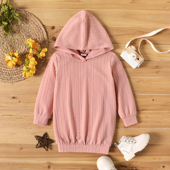 Toddler Girl Cable Knit Textured Hooded Long-sleeve Dress