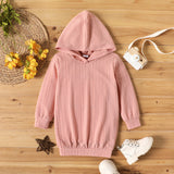 Toddler Girl Cable Knit Textured Hooded Long-sleeve Dress