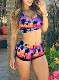 Two Piece Bathing Suit SwimwearTwo Piece Bathing Suit Swimwear - vmlfashion-com