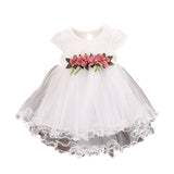 Baby Girl Floral Princess Dress Summer Toddler Infant Girls Sleeveless Mesh Round Neck Tutu Dresses Kids Birthday Party Clothes - vmlfashion-com