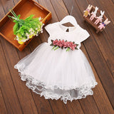 Baby Girl Floral Princess Dress Summer Toddler Infant Girls Sleeveless Mesh Round Neck Tutu Dresses Kids Birthday Party Clothes - vmlfashion-com